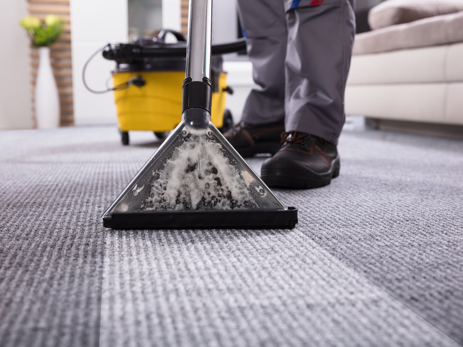 Is comprehensive surface disinfection part of deep cleaning services? Scrub Lou Is comprehensive surface disinfection part of deep cleaning services?