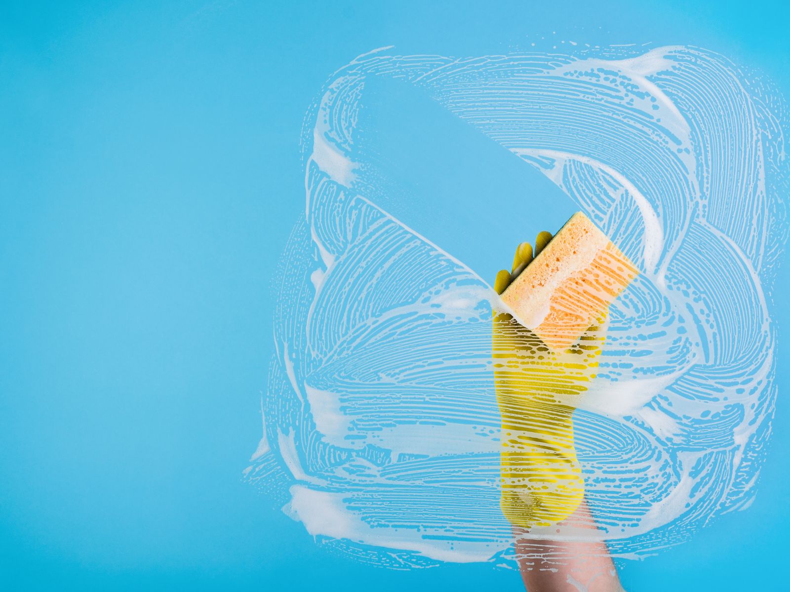 Experienced Cleaners for Every Home